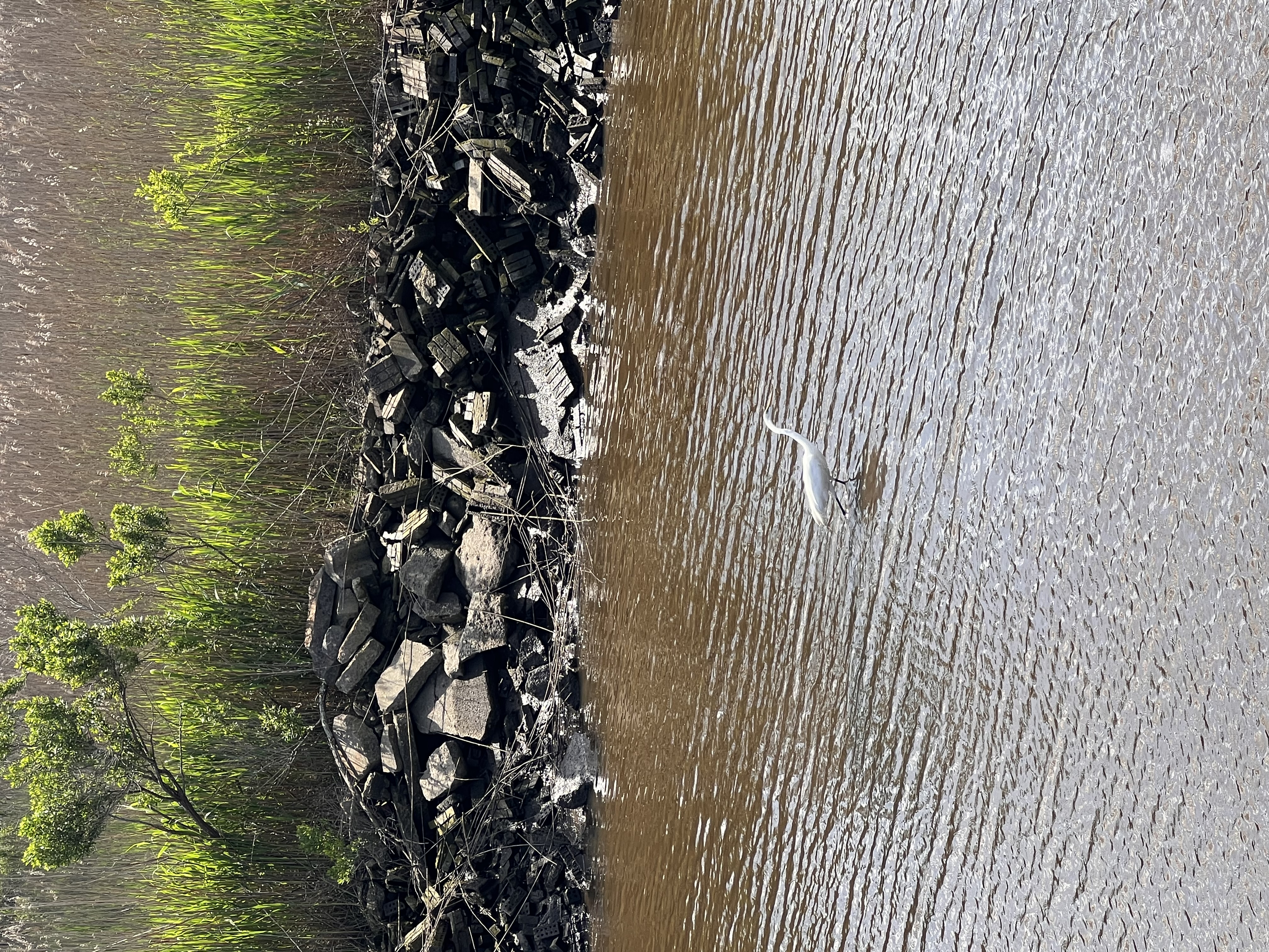 ./2023/05 - Toni Adventures/IMG_2801.JPG